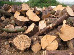 a chopped up log